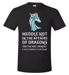 "Meddle Not in the Affairs of Dragons" Fantasy Nerd T-shirt  - TDL-APPAREL