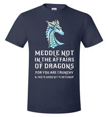 "Meddle Not in the Affairs of Dragons" Fantasy Nerd T-shirt  - TDL-APPAREL