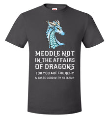 "Meddle Not in the Affairs of Dragons" Fantasy Nerd T-shirt  - TDL-APPAREL